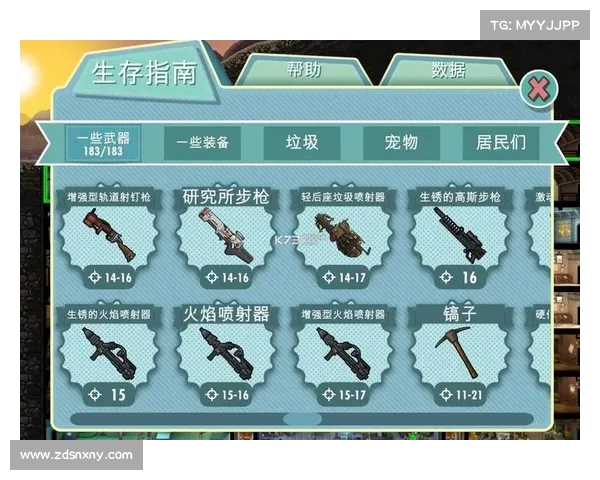 辐射城:武器装备之谜 辐射城:武器装备之谜